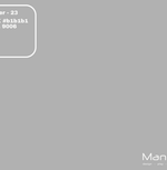 options:silver-23